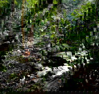 Strickland State Forest - Tourism Adelaide