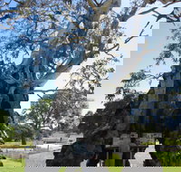 The Herbig Family Tree - Tourism Adelaide