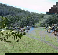 Timbertops - Horse Riding - Tourism Adelaide