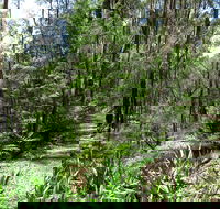 Tyers Park - Tourism Adelaide