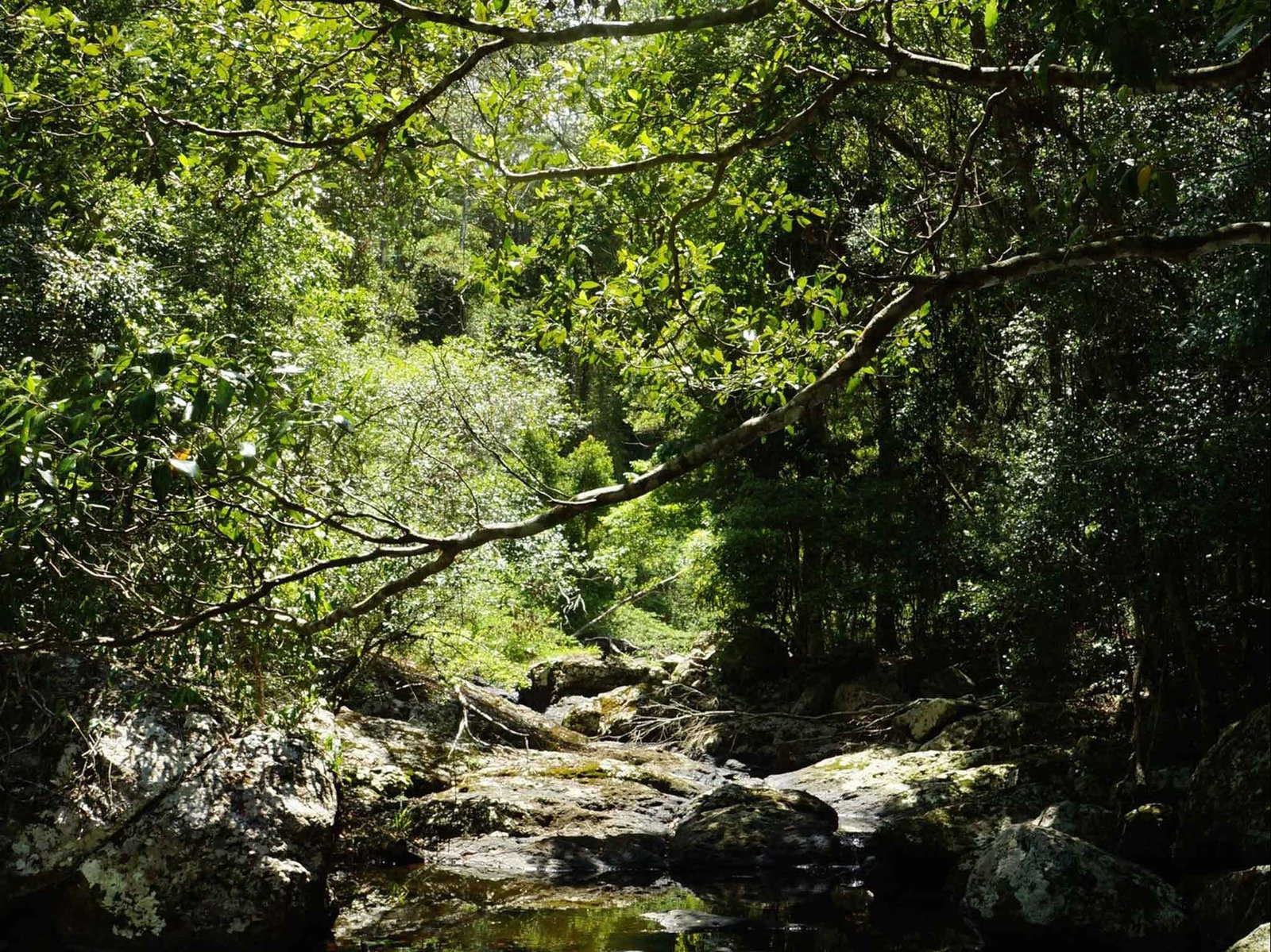 Witta QLD Tourism Adelaide