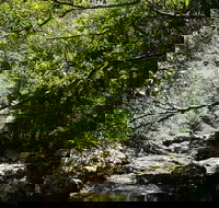 Witta - Tourism Adelaide