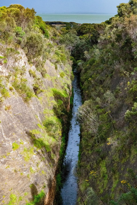 Woakwine Cutting - Tourism Adelaide 0