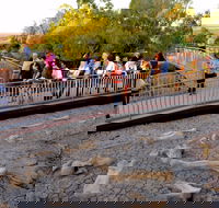 Australian Age of Dinosaurs - Tourism Adelaide