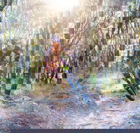 Bayview Conservation Area