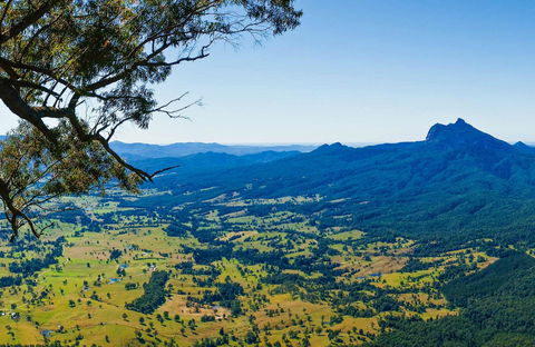 Blackbutt Lookout Picnic Area - Tourism Adelaide 0