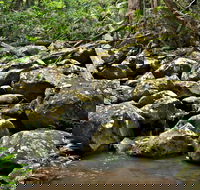 Booyong Walking Track - Tourism Adelaide