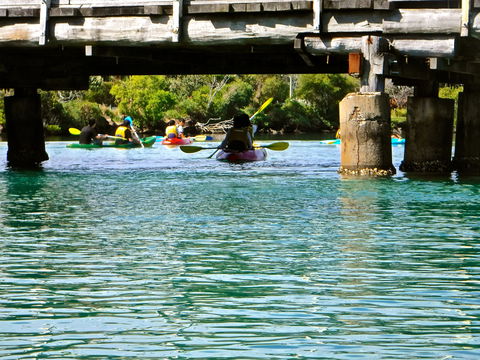 Byron Bay River Nature Kayak Tour - Tourism Adelaide 1