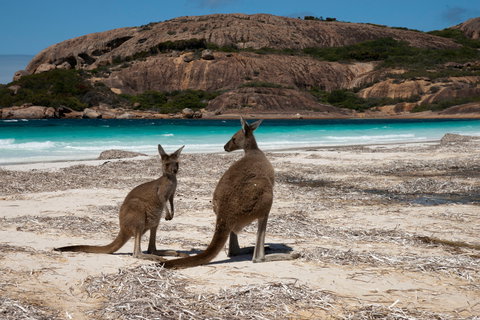 Cape Le Grand National Park - Tourism Adelaide 0