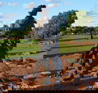 Cobar Miners Heritage Park - Tourism Adelaide