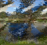 Cooleman Ridge - Tourism Adelaide