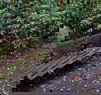 Coombadjha Nature Stroll - Tourism Adelaide