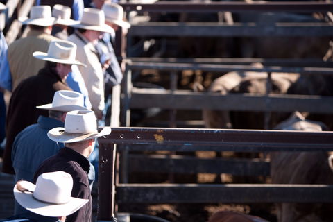 Dalby - Tourism Adelaide 0