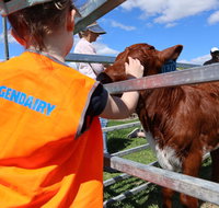 Farm Visit  Dungog - Tourism Adelaide