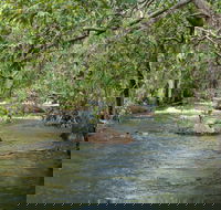 Florence Creek walk - Tourism Adelaide
