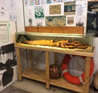 George The Giant Squid Display Wallaroo