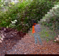 Gibraltar-Washpool World Heritage Walk - Tourism Adelaide