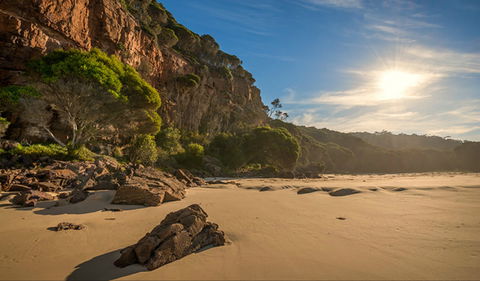 Greenglade Picnic Area - Tourism Adelaide 0