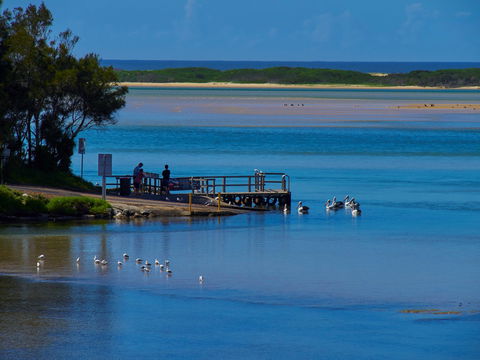 Kayaking Tuross Lake - Tourism Adelaide 1