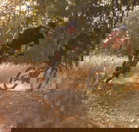 Kholo Gardens Trails - Tourism Adelaide