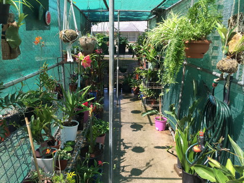 Kilcoy Craft Market - Tourism Adelaide 1