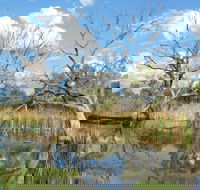 Lagoon Creek - Tourism Adelaide