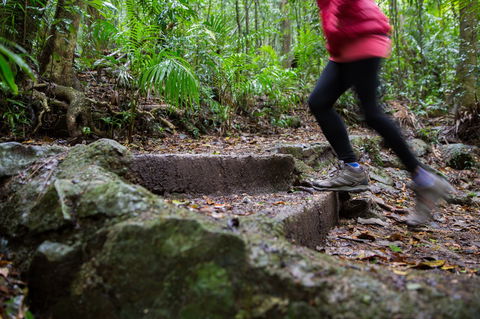 Maiala - Tourism Adelaide 0