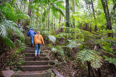 Maiala - Tourism Adelaide 1