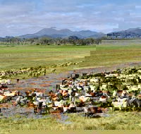 Marlborough