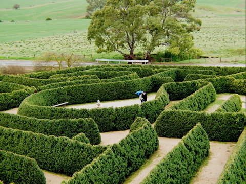 Mintaro Maze - Tourism Adelaide 1