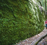 Morisset - Tourism Adelaide