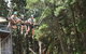 Mount Lofty Adventure Hub - thumb 1
