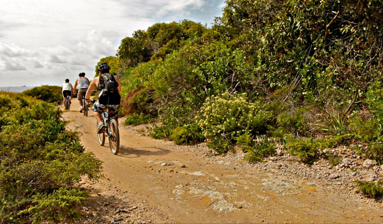 Highfields NSW Tourism Adelaide