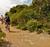 Mountain Biking Trails - Tourism Adelaide