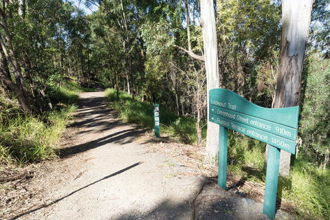 Mt Coot-tha Tourist Drive - Tourism Adelaide 0
