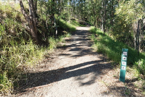 Mt Coot-tha Tourist Drive - Tourism Adelaide 2