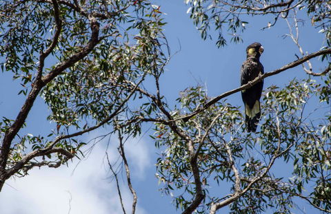 Mummel Gulf National Park - Tourism Adelaide 0