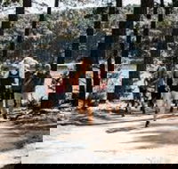 Myponga Reservoir Trail