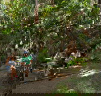 Palms picnic area - Tourism Adelaide