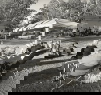 Pioneer Park - Tourism Adelaide