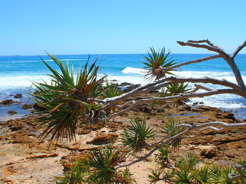 Rocky Point - Tourism Adelaide 1