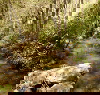 Sandy Creek Track - Tourism Adelaide