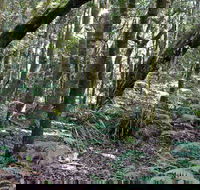 Summit Walking Track Mount Hyland Nature Reserve - Tourism Adelaide