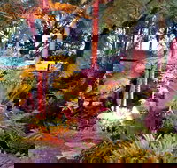 The Fernery at Diamond Waters - Tourism Adelaide