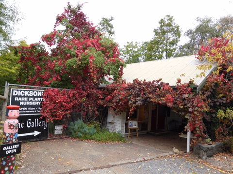 The Gallery Mt Macedon - Tourism Adelaide 0