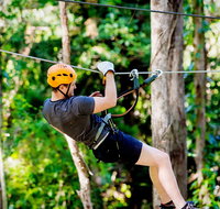 TreeTop Challenge Currumbin Wildlife Sanctuary - Tourism Adelaide