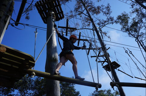 Trees Adventure Nowra Park - Tourism Adelaide 0