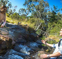 Yackandandah Gorge Scenic Walk - Tourism Adelaide