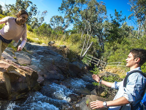Yackandandah Gorge Scenic Walk - Tourism Adelaide 0
