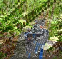 Yarra Ranges National Park - Tourism Adelaide